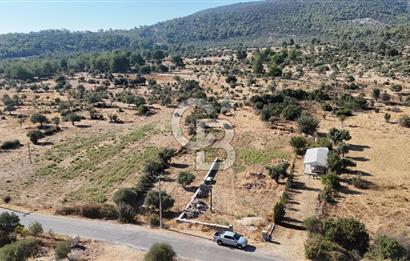 MUĞLA MİLAS KALINAĞIL KÖYÜ SATILIK 2.240M2 TEK TAPU TARLA