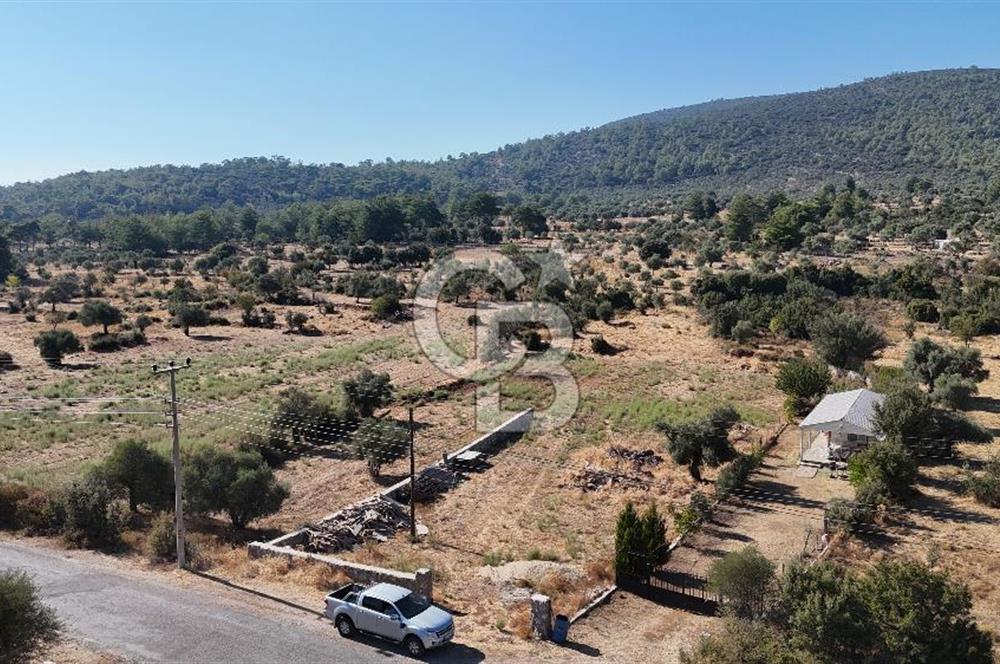 MUĞLA MİLAS KALINAĞIL KÖYÜ SATILIK 2.240M2 TEK TAPU TARLA