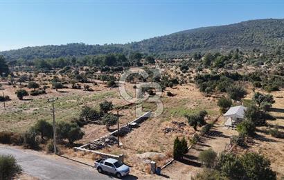 MUĞLA MİLAS KALINAĞIL KÖYÜ SATILIK 2.240M2 TEK TAPU TARLA