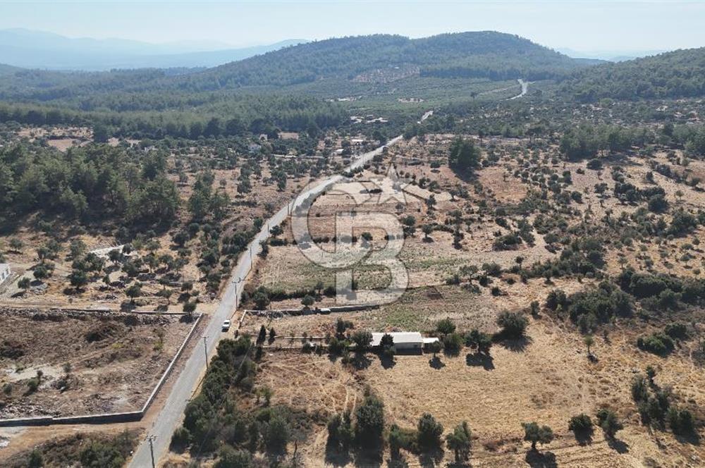 MUĞLA MİLAS KALINAĞIL KÖYÜ SATILIK 2.240M2 TEK TAPU TARLA