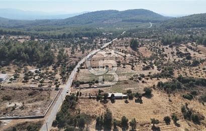 MUĞLA MİLAS KALINAĞIL KÖYÜ SATILIK 2.240M2 TEK TAPU TARLA