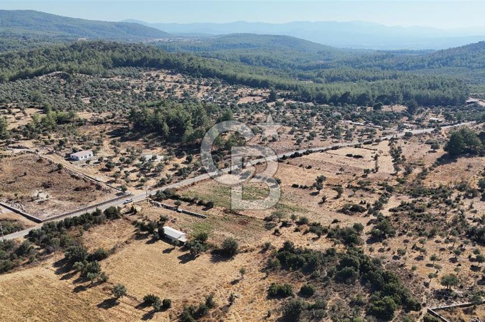 MUĞLA MİLAS KALINAĞIL KÖYÜ SATILIK 2.240M2 TEK TAPU TARLA