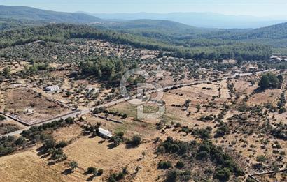 MUĞLA MİLAS KALINAĞIL KÖYÜ SATILIK 2.240M2 TEK TAPU TARLA