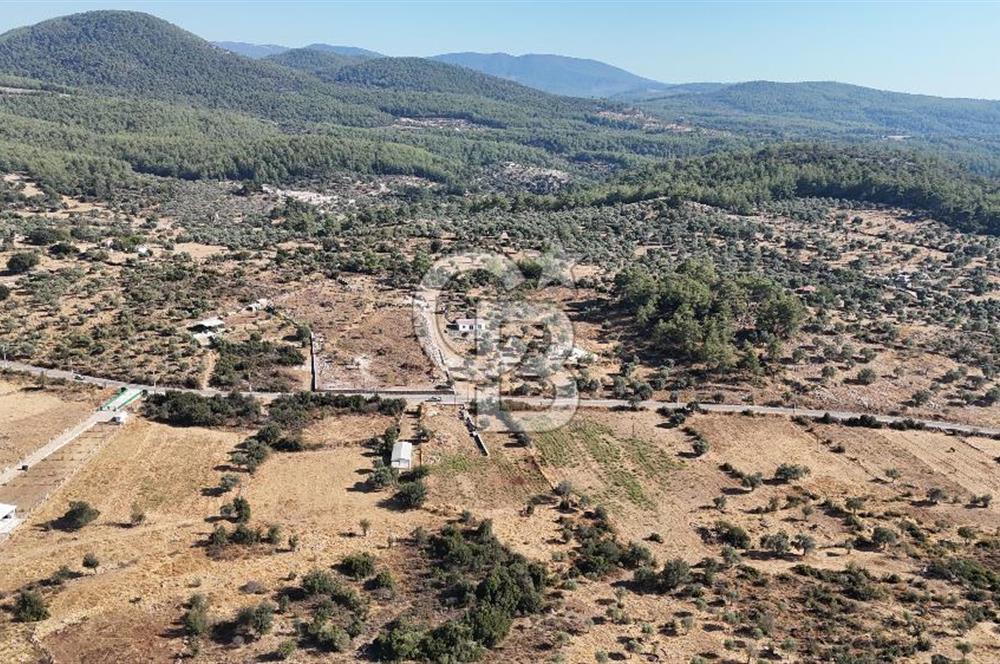MUĞLA MİLAS KALINAĞIL KÖYÜ SATILIK 2.240M2 TEK TAPU TARLA