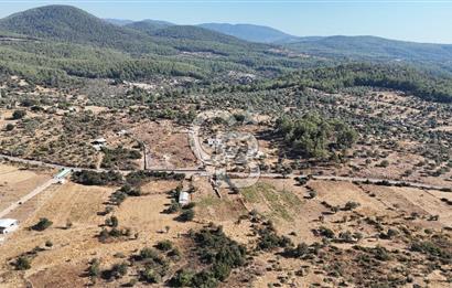 MUĞLA MİLAS KALINAĞIL KÖYÜ SATILIK 2.240M2 TEK TAPU TARLA