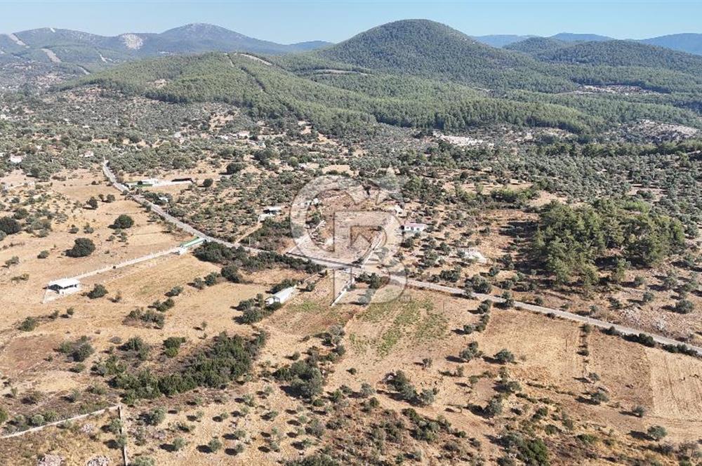 MUĞLA MİLAS KALINAĞIL KÖYÜ SATILIK 2.240M2 TEK TAPU TARLA