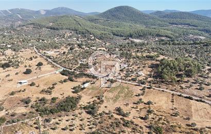 MUĞLA MİLAS KALINAĞIL KÖYÜ SATILIK 2.240M2 TEK TAPU TARLA