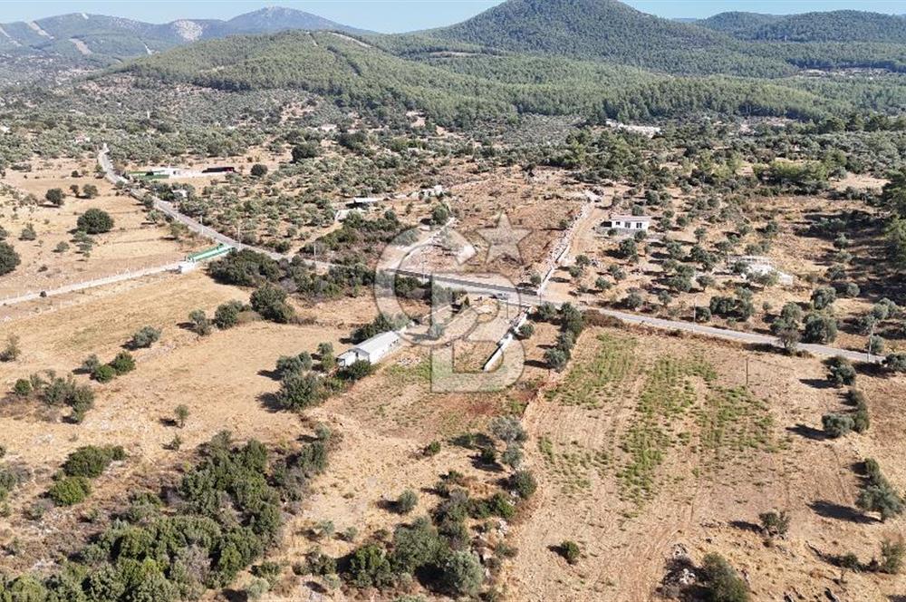 MUĞLA MİLAS KALINAĞIL KÖYÜ SATILIK 2.240M2 TEK TAPU TARLA