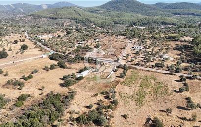MUĞLA MİLAS KALINAĞIL KÖYÜ SATILIK 2.240M2 TEK TAPU TARLA