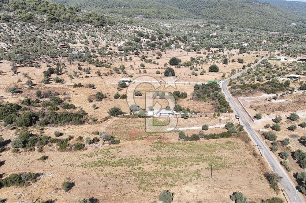 MUĞLA MİLAS KALINAĞIL KÖYÜ SATILIK 2.240M2 TEK TAPU TARLA