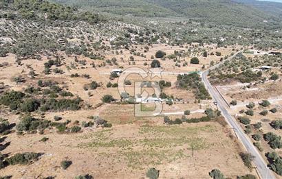 MUĞLA MİLAS KALINAĞIL KÖYÜ SATILIK 2.240M2 TEK TAPU TARLA