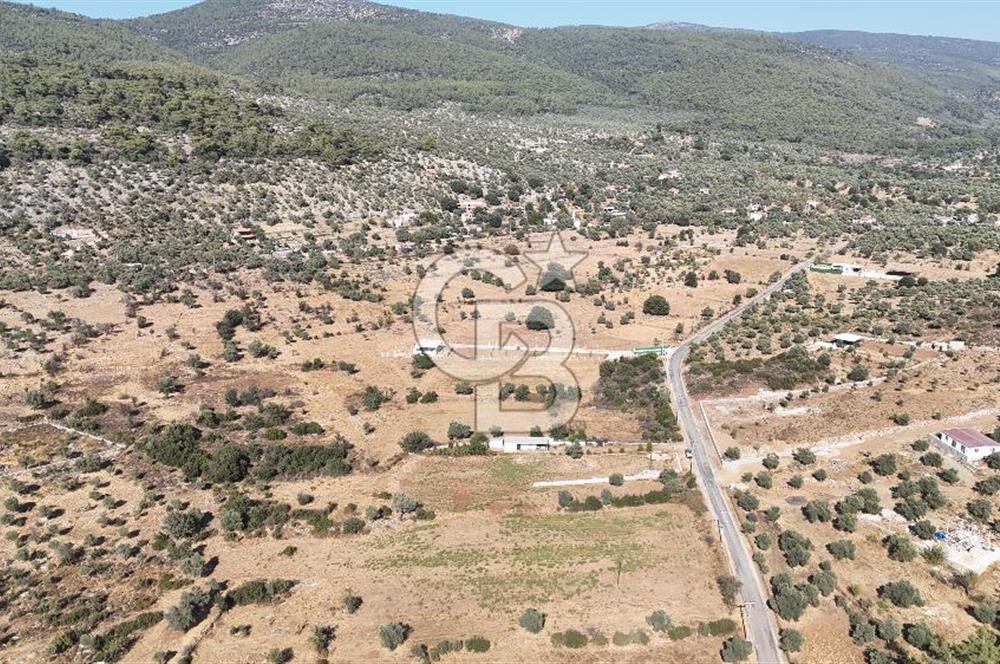 MUĞLA MİLAS KALINAĞIL KÖYÜ SATILIK 2.240M2 TEK TAPU TARLA