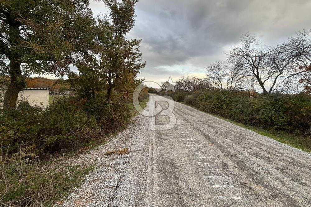 Çanakkale Salihler De 19373 M² Satılık Cevizlik !