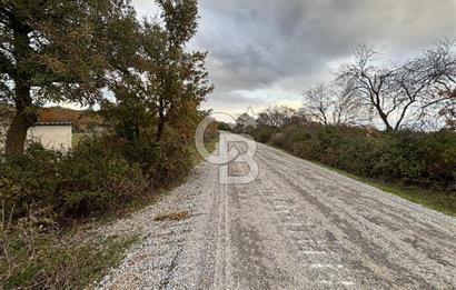 Çanakkale Salihler De 19373 M² Satılık Cevizlik !