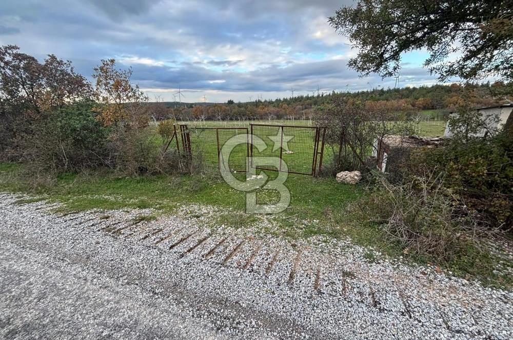 Çanakkale Salihler De 19373 M² Satılık Cevizlik !