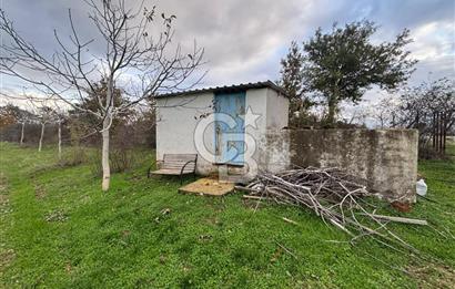 Çanakkale Salihler De 19373 M² Satılık Cevizlik !