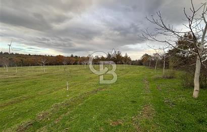Çanakkale Salihler De 19373 M² Satılık Cevizlik !