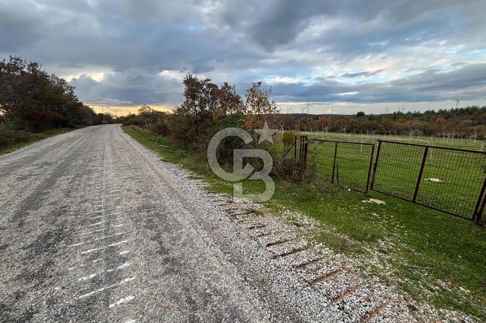 Çanakkale Salihler De 19373 M² Satılık Cevizlik !