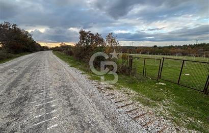 Çanakkale Salihler De 19373 M² Satılık Cevizlik !