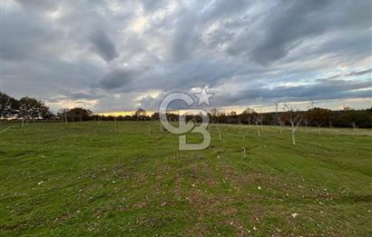 Çanakkale Salihler De 19373 M² Satılık Cevizlik !