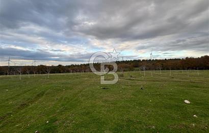 Çanakkale Salihler De 19373 M² Satılık Cevizlik !