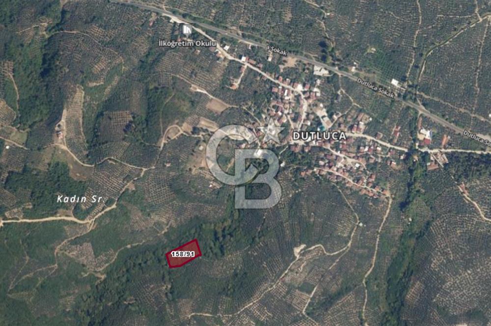 ORHANGAZİ DUTLUCA'DA 4.182 m2 SATILIK YATIRIMLIK FIRSAT ARAZİ