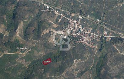 ORHANGAZİ DUTLUCA'DA 4.182 m2 SATILIK YATIRIMLIK FIRSAT ARAZİ