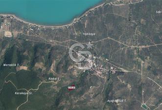 ORHANGAZİ DUTLUCA'DA 4.182 m2 SATILIK YATIRIMLIK FIRSAT ARAZİ - 7 - 320329