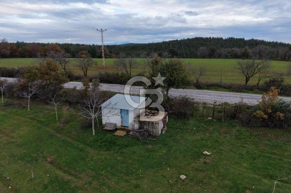 Çanakkale Salihler De 19373 M² Satılık Cevizlik !