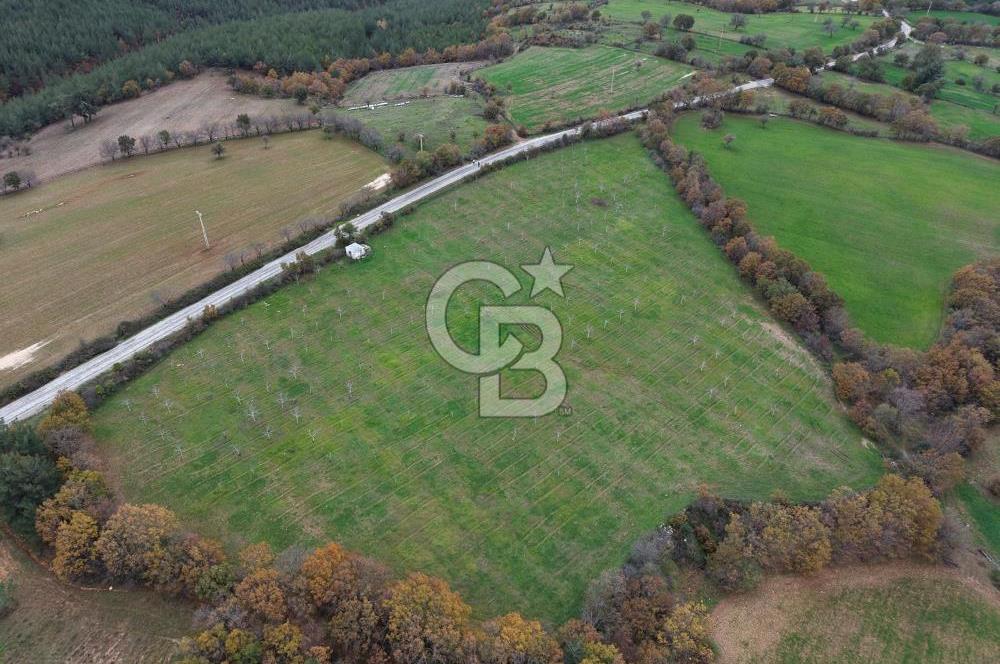 Çanakkale Salihler De 19373 M² Satılık Cevizlik !