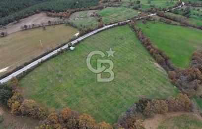 Çanakkale Salihler De 19373 M² Satılık Cevizlik !