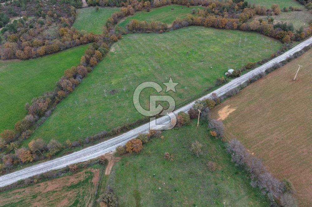Çanakkale Salihler De 19373 M² Satılık Cevizlik !