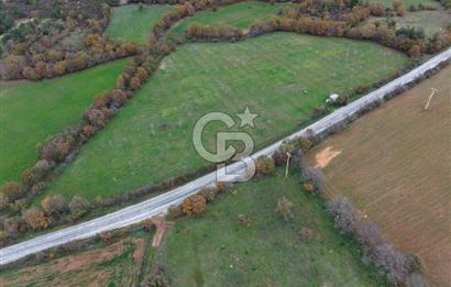 Çanakkale Salihler De 19373 M² Satılık Cevizlik !