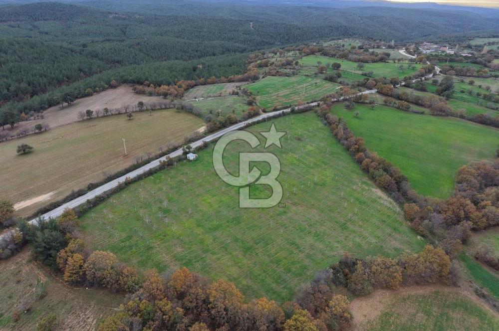 Çanakkale Salihler De 19373 M² Satılık Cevizlik !