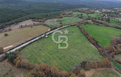 Çanakkale Salihler De 19373 M² Satılık Cevizlik !