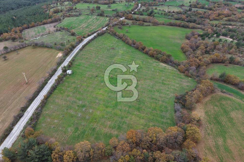 Çanakkale Salihler De 19373 M² Satılık Cevizlik !