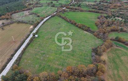 Çanakkale Salihler De 19373 M² Satılık Cevizlik !