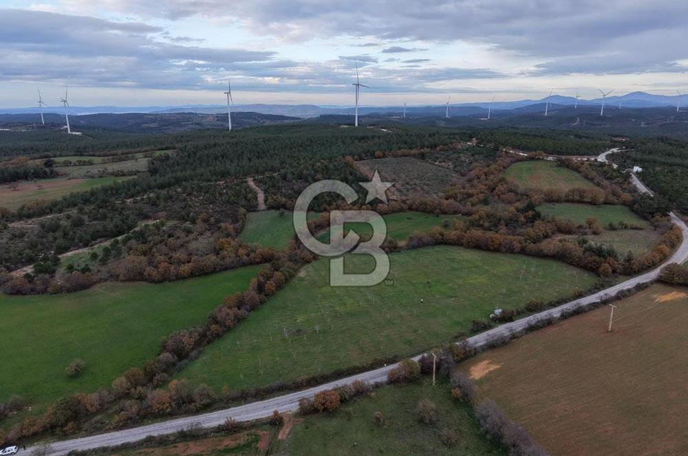 Çanakkale Salihler De 19373 M² Satılık Cevizlik !