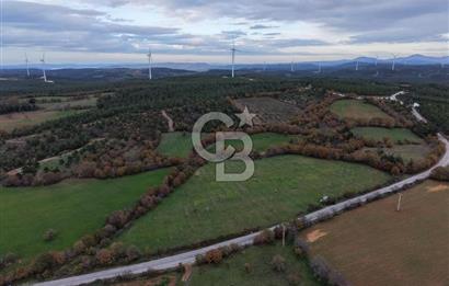 Çanakkale Salihler De 19373 M² Satılık Cevizlik !