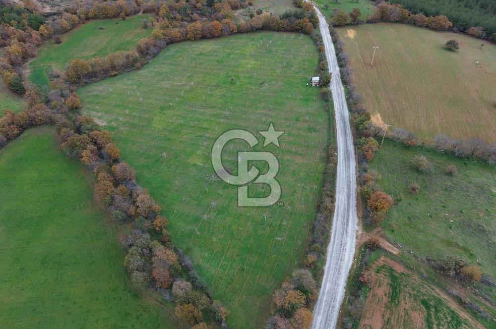 Çanakkale Salihler De 19373 M² Satılık Cevizlik !