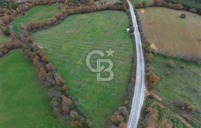 Çanakkale Salihler De 19373 M² Satılık Cevizlik !