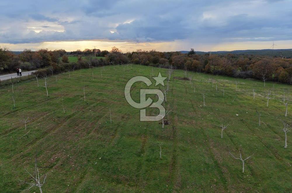 Çanakkale Salihler De 19373 M² Satılık Cevizlik !