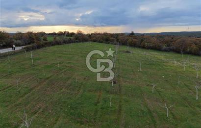 Çanakkale Salihler De 19373 M² Satılık Cevizlik !