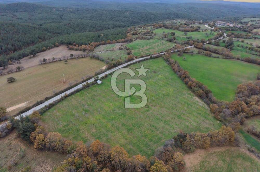 Çanakkale Salihler De 19373 M² Satılık Cevizlik !