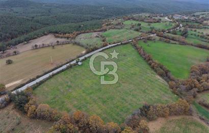 Çanakkale Salihler De 19373 M² Satılık Cevizlik !