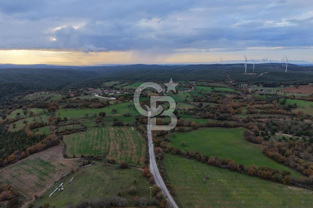 Çanakkale Salihler De 19373 M² Satılık Cevizlik !