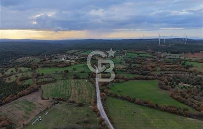 Çanakkale Salihler De 19373 M² Satılık Cevizlik !