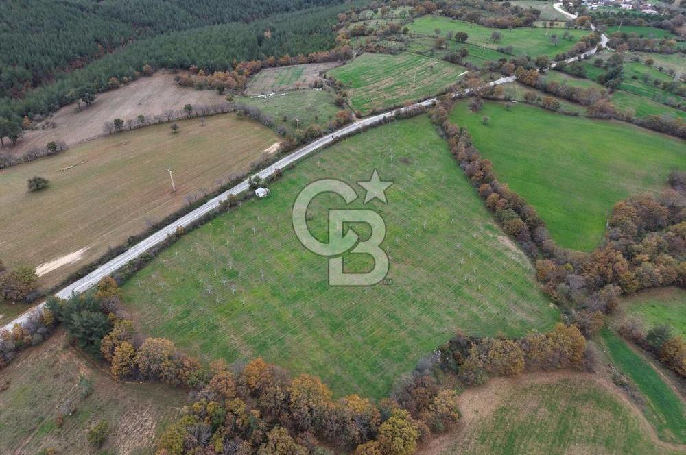 Çanakkale Salihler De 19373 M² Satılık Cevizlik !