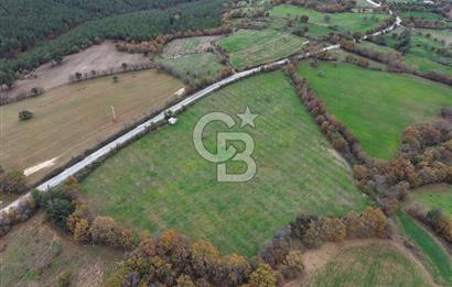 Çanakkale Salihler De 19373 M² Satılık Cevizlik !