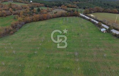 Çanakkale Salihler De 19373 M² Satılık Cevizlik !